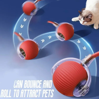 Electronic Interactive Pet Toy Smart