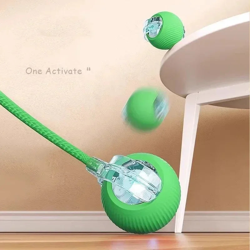 Electronic Interactive Pet Toy Smart