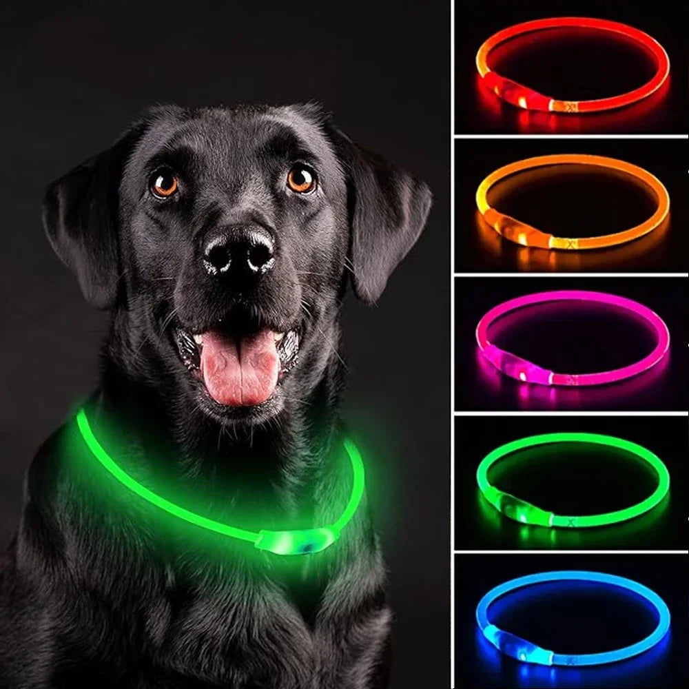 Led Dog Collar Luminous