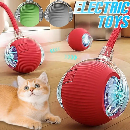 Electronic Interactive Pet Toy Smart