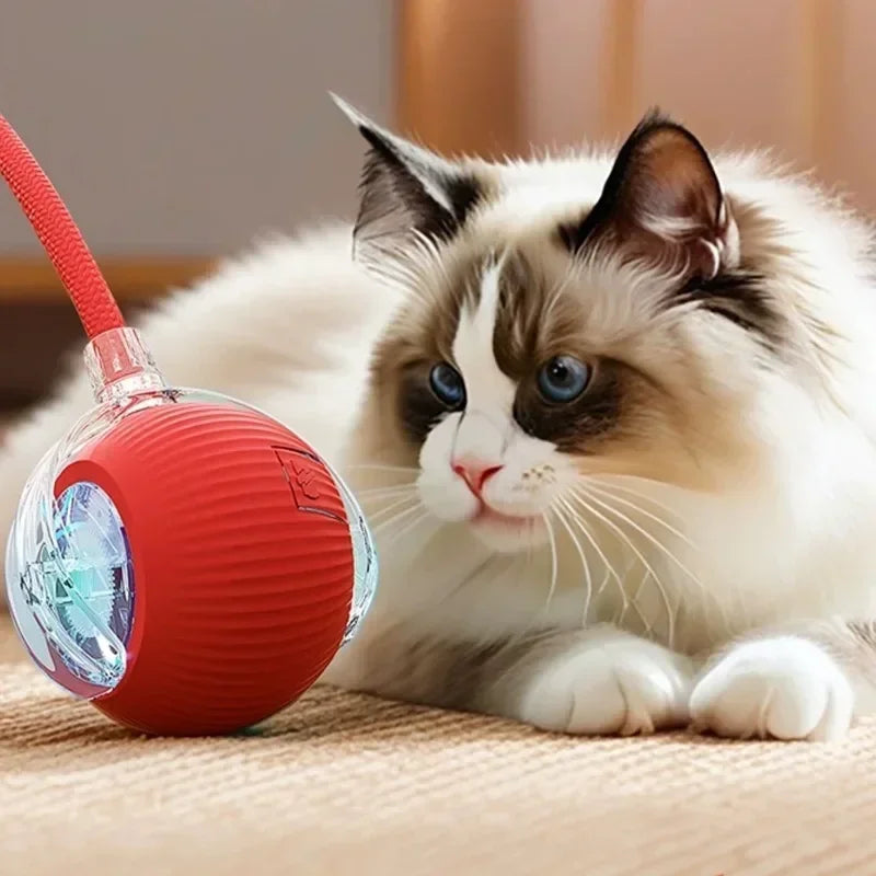 Electronic Interactive Pet Toy Smart